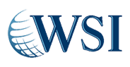 Logo - WSI